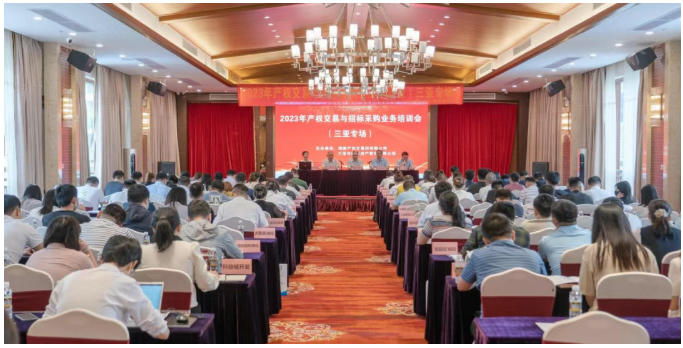 “十四五”巡礼丨海南产交所：交易规模超200亿，平台能级实现新突破